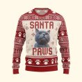 I-Believe-In-Santa-Paws-Personalized-Ugly-Sweater-Christmas-Funny-Gift-For-Dog-Mom-Cat-Mom-Pet-Lovers_1.jpg